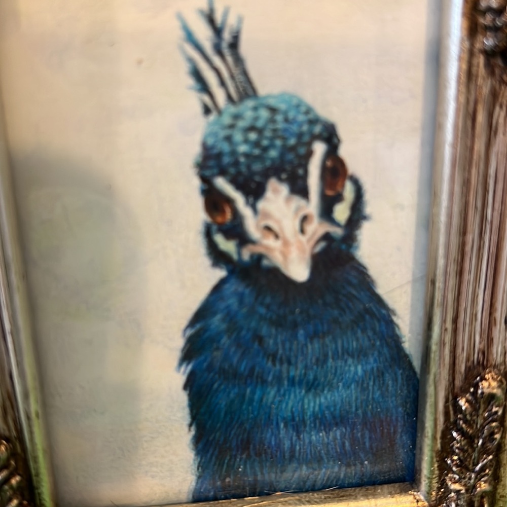 Original mini ACEO drawing by Chandra Valli Paetsch. Peacock incredible detail. - Picture 2 of 4